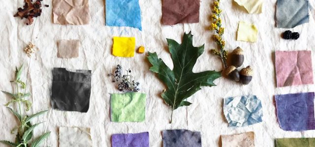 The Future of Sustainable Textiles