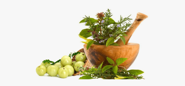 Your Inner Wellness with Ayurvedic Herbs