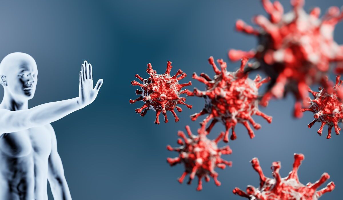 xr:d:DAFk4TuIuPQ:61,j:8765524887683602123,t:23062109 xr:d:DAFk4TuIuPQ:61,j:8765524887683602123,t:23062109