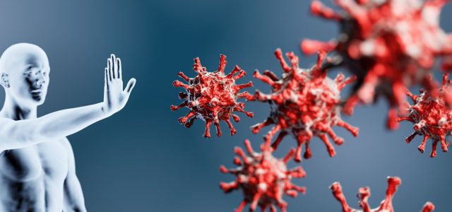 xr:d:DAFk4TuIuPQ:61,j:8765524887683602123,t:23062109